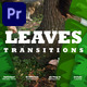 Leaves Transitions - VideoHive Item for Sale