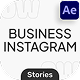 Business Stories Pack - VideoHive Item for Sale