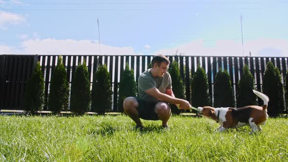 Man Plays with His Beagle Dog Outdoors and Treats Her Pet with a Treat