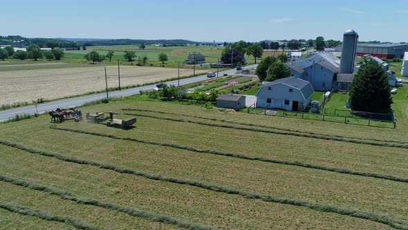 Aerial View of an Amish Farmers with Five Horses Harvesting His Crops