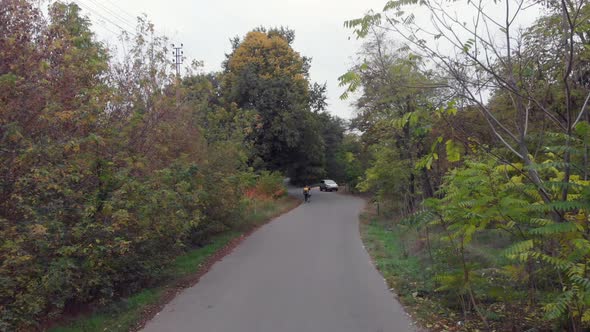 Easy Walk Along The Road In The Forest