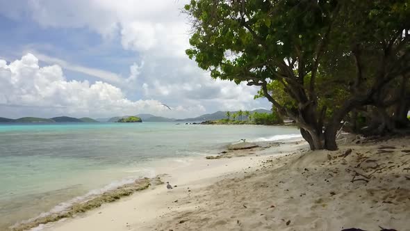 Sapphire Beach U.S. Virgin Islands