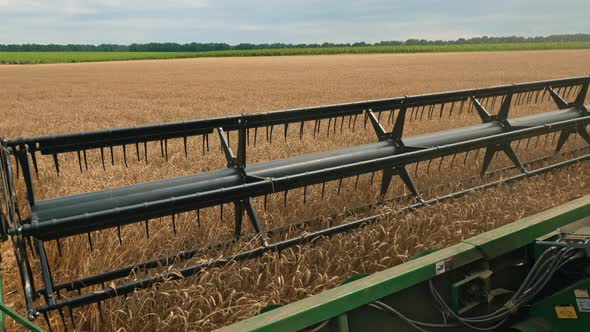 Combine Harvester in the Wheat Field, Close-up