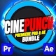 CINEPUNCH - Premiere Pro Plugins & Assets Bundle - VideoHive Item for Sale