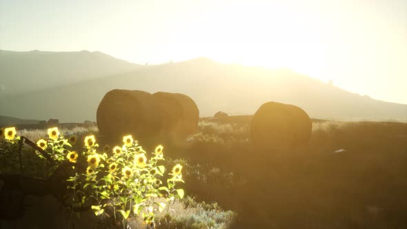 Hay Bales in the Sunset