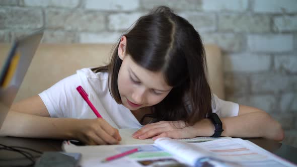 Smart Schoolgirl Studying at Home During Coronavirus Pandemic alt