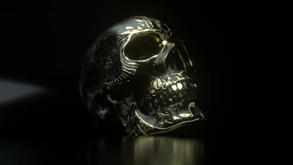 Human Skull with Gold Accents Closeup