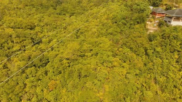 Attraction Zipline in the Jungle Bohol, Philippines.