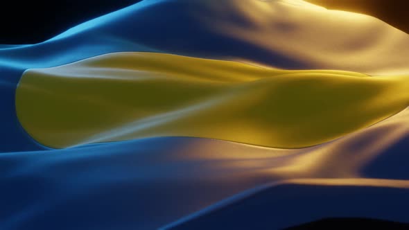 Palau - Stylized Flag