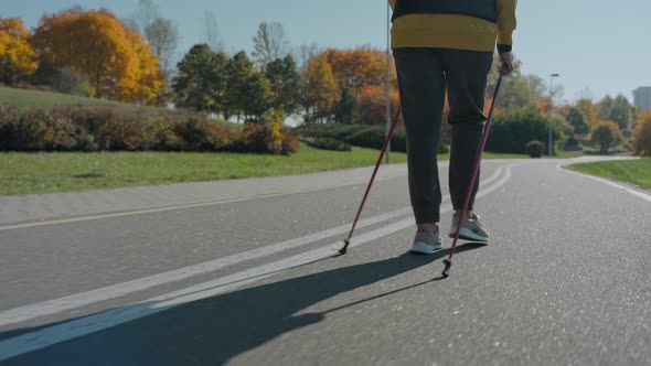 Shot of Woman Legs Walking in Sunny Fall Park with Nordic Walking Poles Back