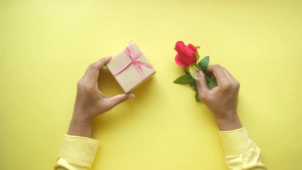 Top View of Hand Holding Gift Box and Rose Flower on Color Background
