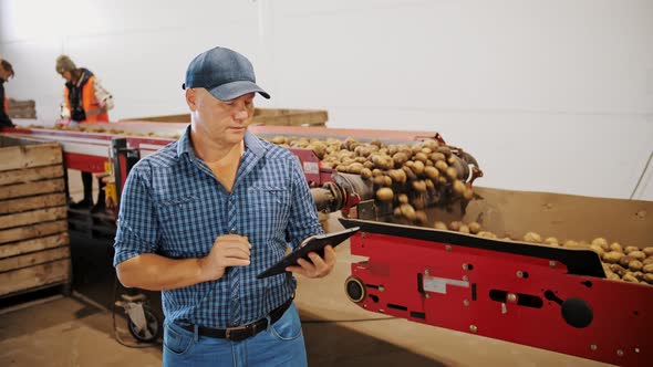 Potato Harvesting