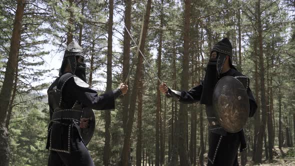 Warrior soldier training. alt