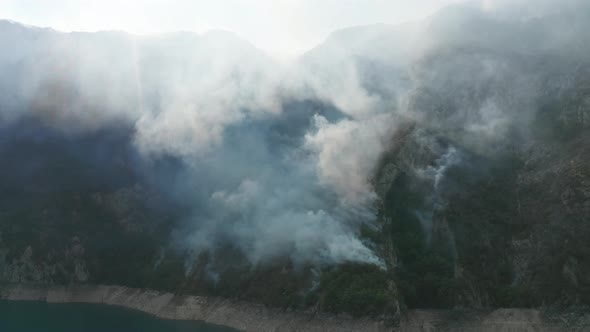 Clouds of white smoke from a fire backlit by sun, caused by burning forest due to climate change