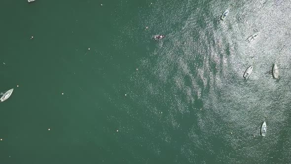 Overhead view of docked boats and beach birds flying. Brixham harbour filled with docked boats.