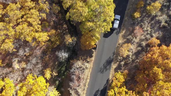 Top down view of vehicles driving on road through during in Fall