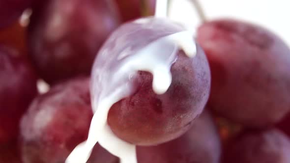 Milk splash on a bunch of red grapes close-up in slow motion on a white background