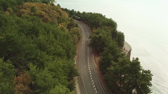 Flying Over Road Along Sea in Between Trees in Mountains