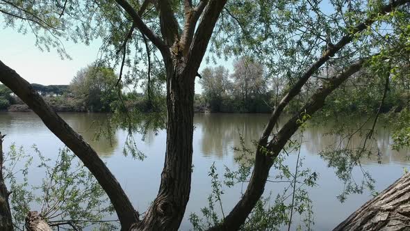 Beautiful views of the town and the river, surrounded by nature, plants, flowers and trees