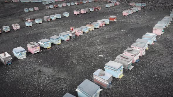 Aerial shot of rows of bee hives on field