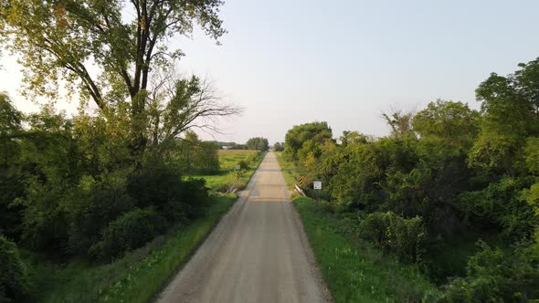 Dirt road during a sunny summer day