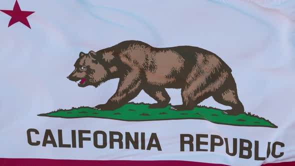 Flag of California State Region of the United States Waving at Wind