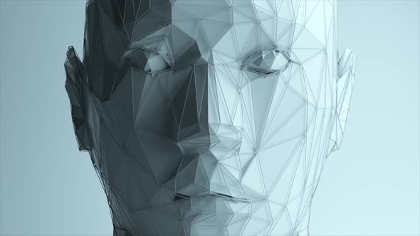 Abstract Polygonal Human Face Artificial Intelligence Concept