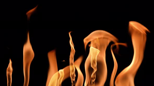 Set of Many Orange Flames in Slow Motion on a Black Background