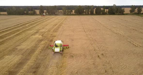 Upper View Crop Harvesting Process From Fields By Machinery