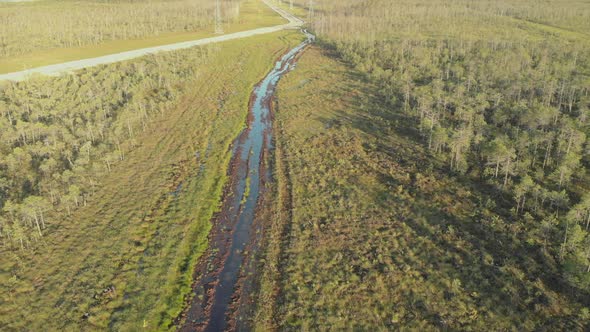 Drone Flies Over Swampy Area with Dirt Road