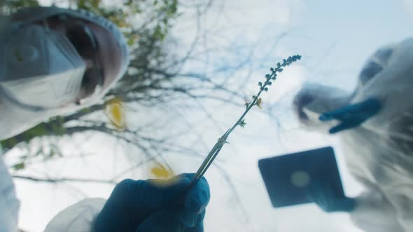 Chemists Wearing Ppe Suits Taking Sample of Plants for Toxicity Testing Typing in Gadget Tablet