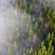 Aerial Flight Over the Morning Fog in a Mountain Forest - VideoHive Item for Sale