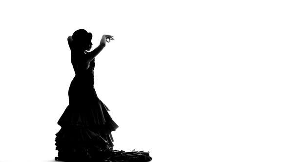 Woman Dances Flamenco Gracefully Moving Her Hands. White Background. Silhouette