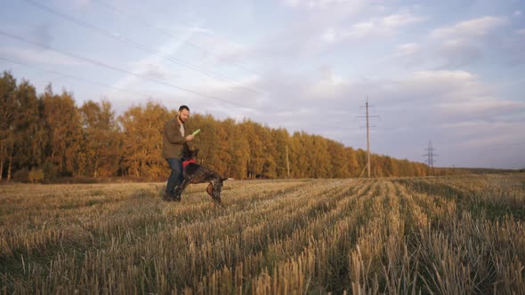 A Young Man Walks in a Field with His Dog Kurzhaar and Plays a Flying Saucer