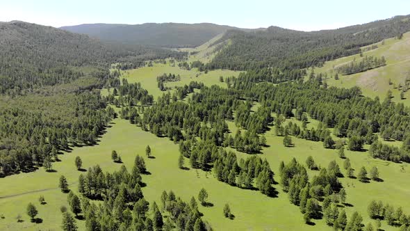 Green Meadows in The Sparsely Wooded Between Forest Covered Hills with Aerial View