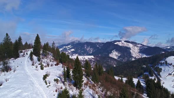 Winter Snow Trees. Aerial View Fly Over. Nature