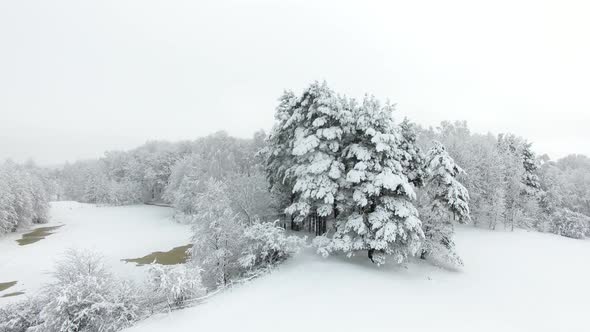 Aerial: Snow-covered countryside in deep winter