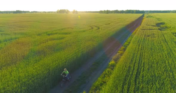 Aerial View on Young Boy, That Rides a Bicycle Thru a Wheat Grass Field on the Old Rural Road