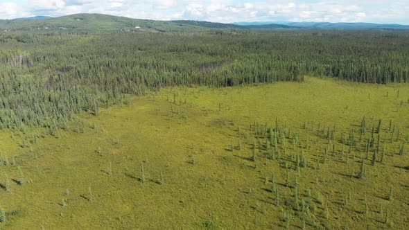 4K Drone Video of Summer Wilderness Forest near Fairbanks, Alaska