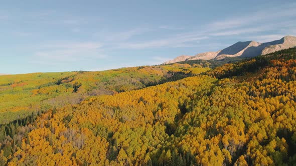 Aspens turning on Kebler Pass, Colorado