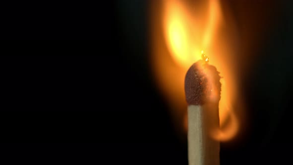 Super Slow Motion Macro Shot of Igniting Match Against Black Background at 1000Fps