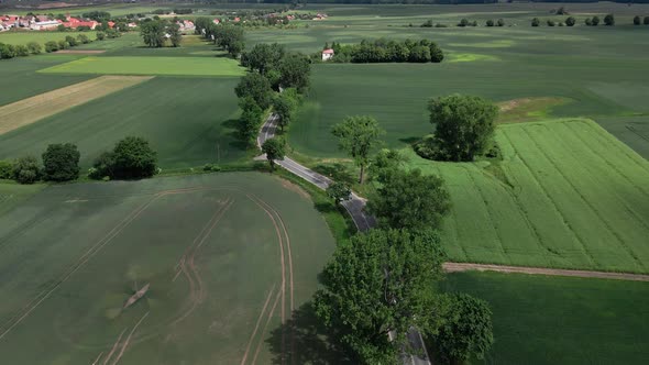 Cars Moving on Road Between Agricultural Fields Aerial View