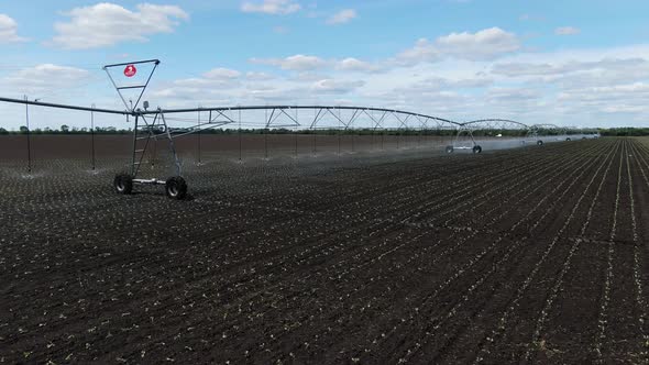 Watering of the Seedlings in the Field on a Summer Day, Agriculture, Nature, 