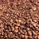 Coffee Beans Roasted Close Up - VideoHive Item for Sale