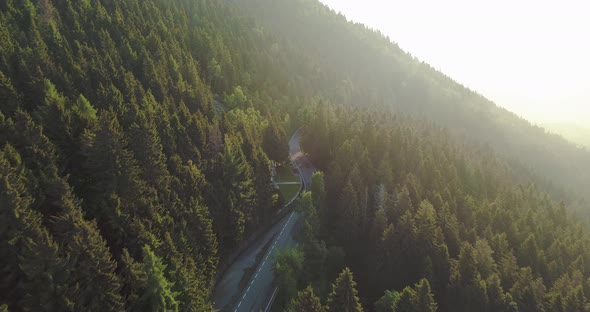 Aerial Top View of Road in the Forest at Sunrise