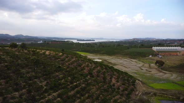 Industrial coffee plantation in South Vietnam, aerial drone orbit view