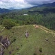 Little Adam's Peak mountain in Ella, Sri Lanka, Aerial 4K - VideoHive Item for Sale