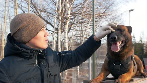 A Trainer Petting His Cute German Shepherd Dog