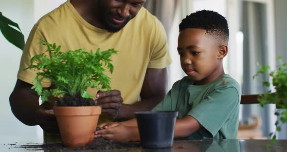 African american boy adding new soil to the plant pot at home