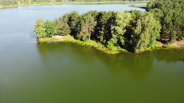 Lake and Green Forest. Aerial View.